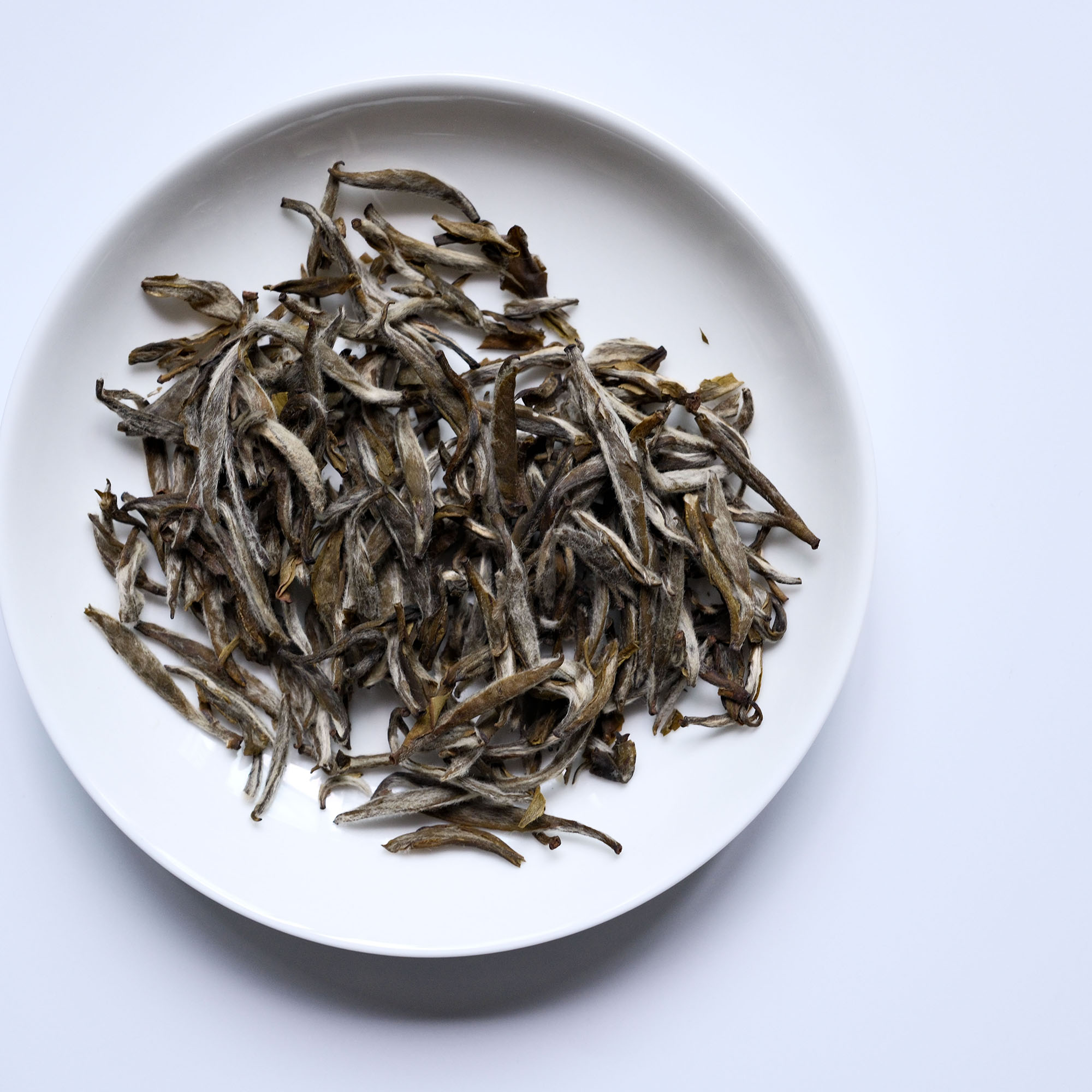 Fujian — Mòlì Yín Háo (Jasmine Silver Tip) | Delicate Jasmine White-Style Tea · Ethereal & Pure