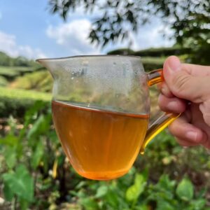 Spring 2026 Wuyi Tea Tasting Set – Build Your Own 5×8g Sampler – Fresh Rock Oolong & Black Tea